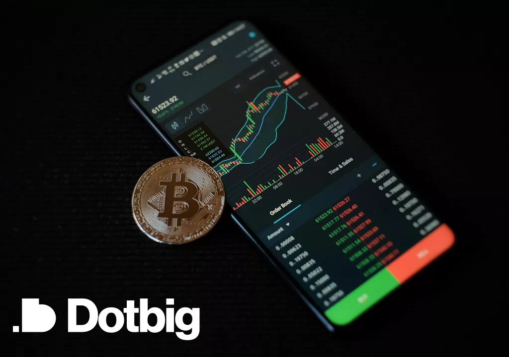 Setting and Achieving Investment Goals with DotBig’s Planning Tools